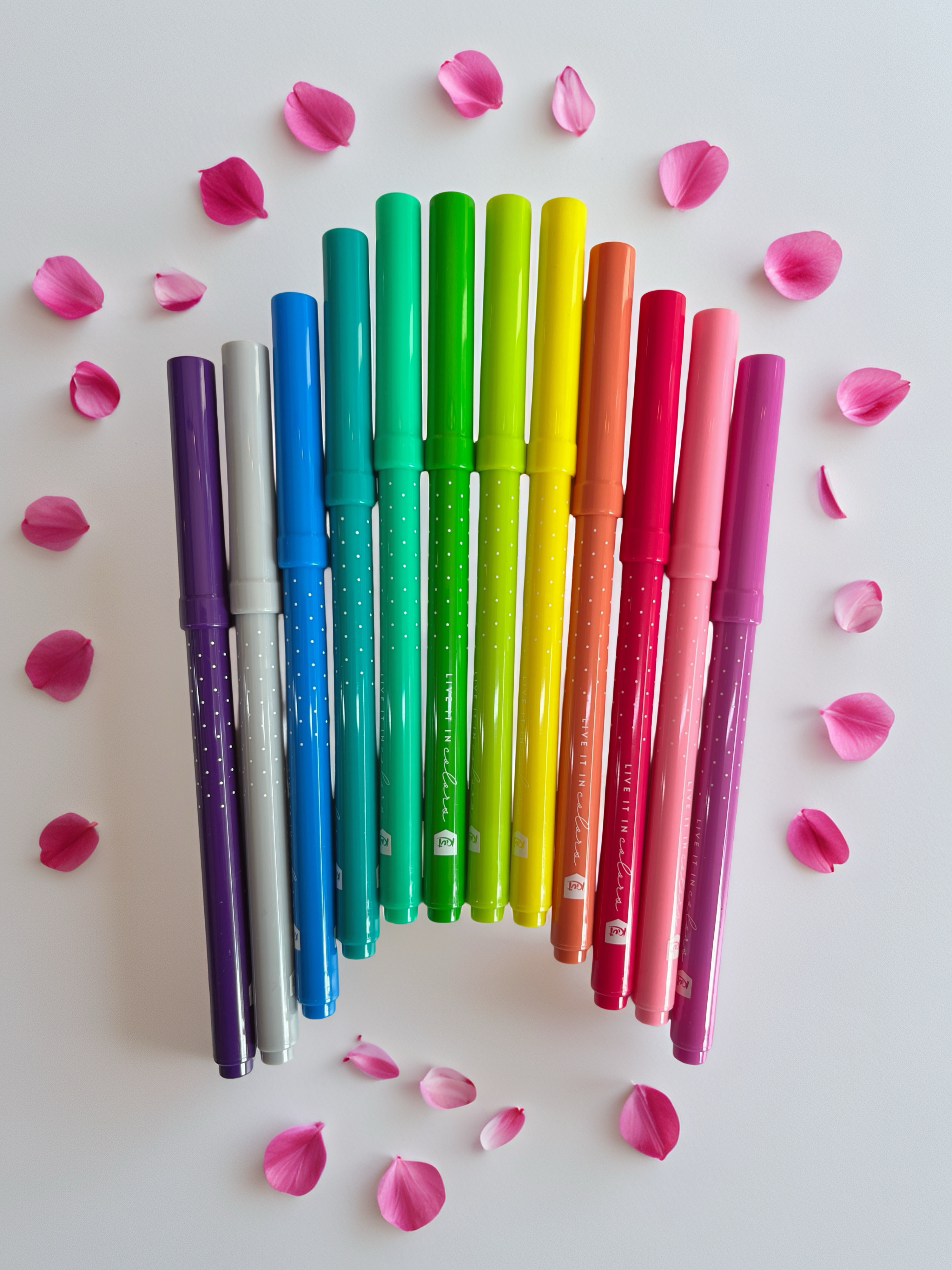 PLUMONES 1 PUNTA 2 TRAZOS PARA DELINEAR Y RELLENAR X24