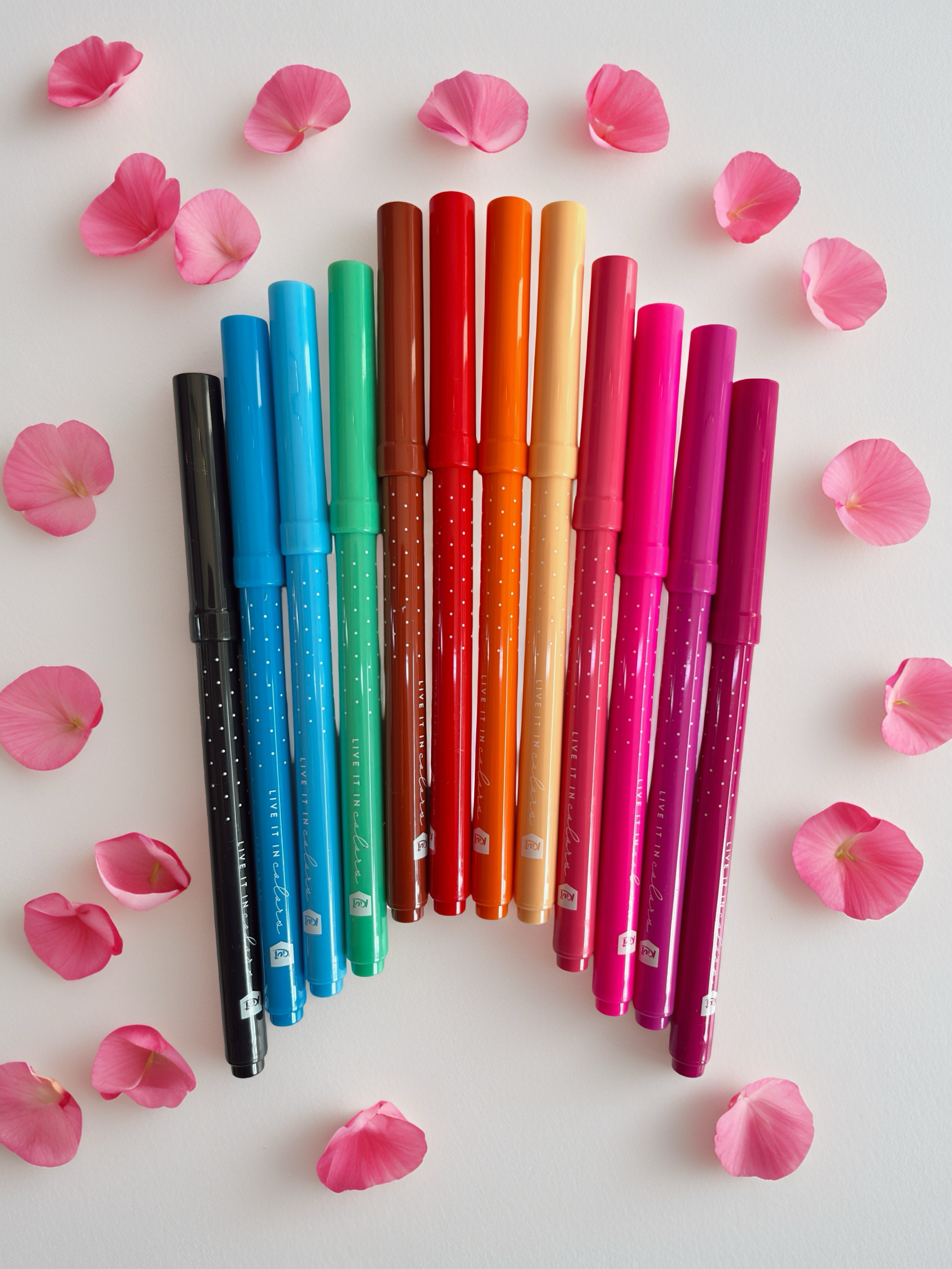 PLUMONES 1 PUNTA 2 TRAZOS PARA DELINEAR Y RELLENAR X24