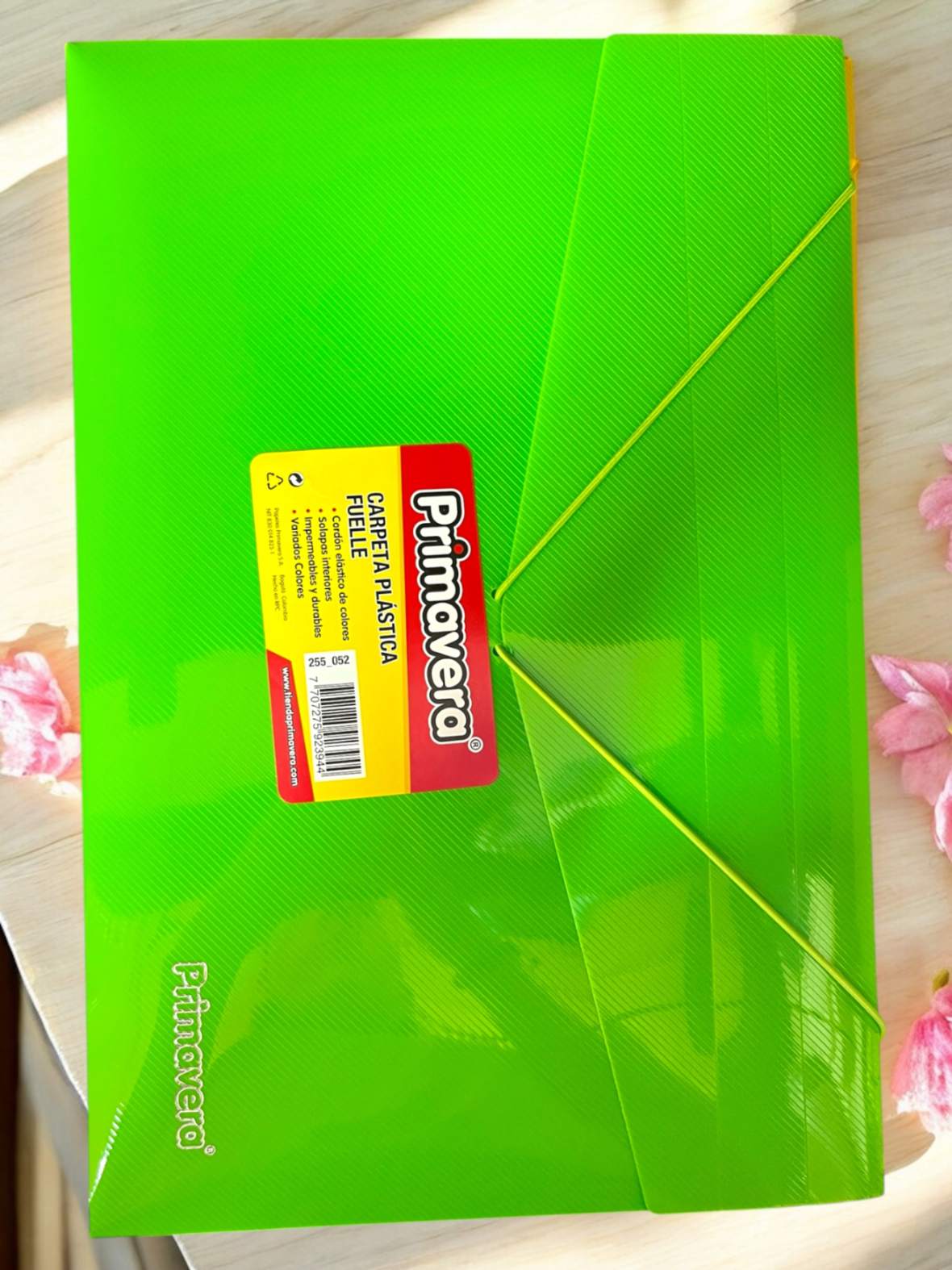 CARPETA FUELLE PRMAVERA