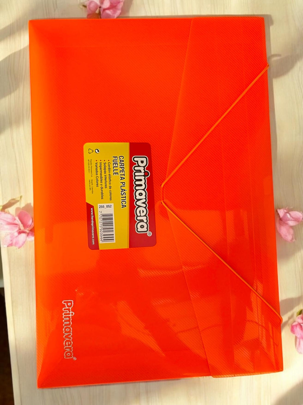 CARPETA FUELLE PRMAVERA