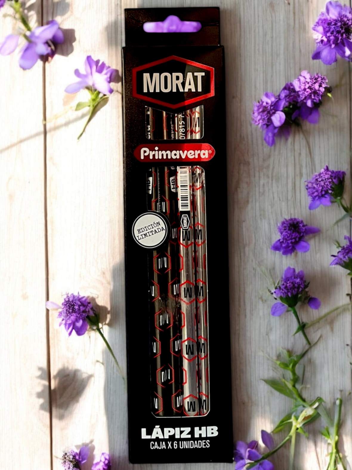 SET DE LAPICES MORAT PRIMAVERA X6