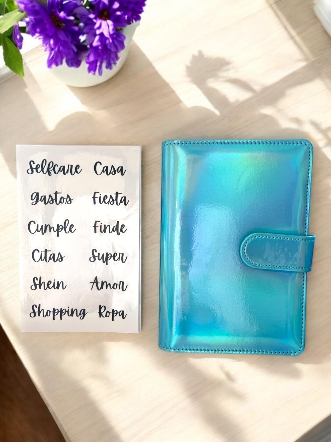 AGENDAS ORGANIZADORAS DE DINERO