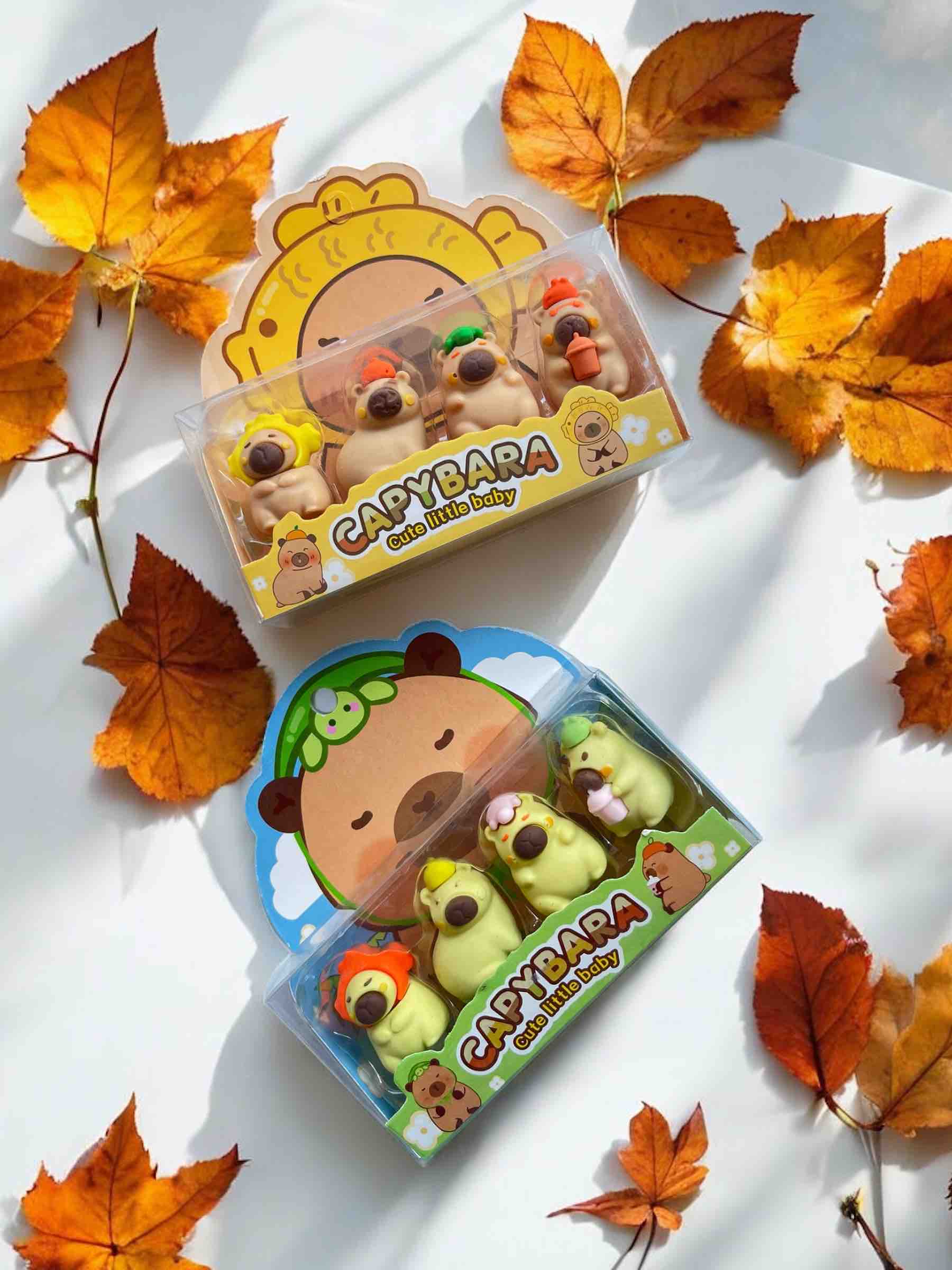 BORRADOR CAPIBARA X4