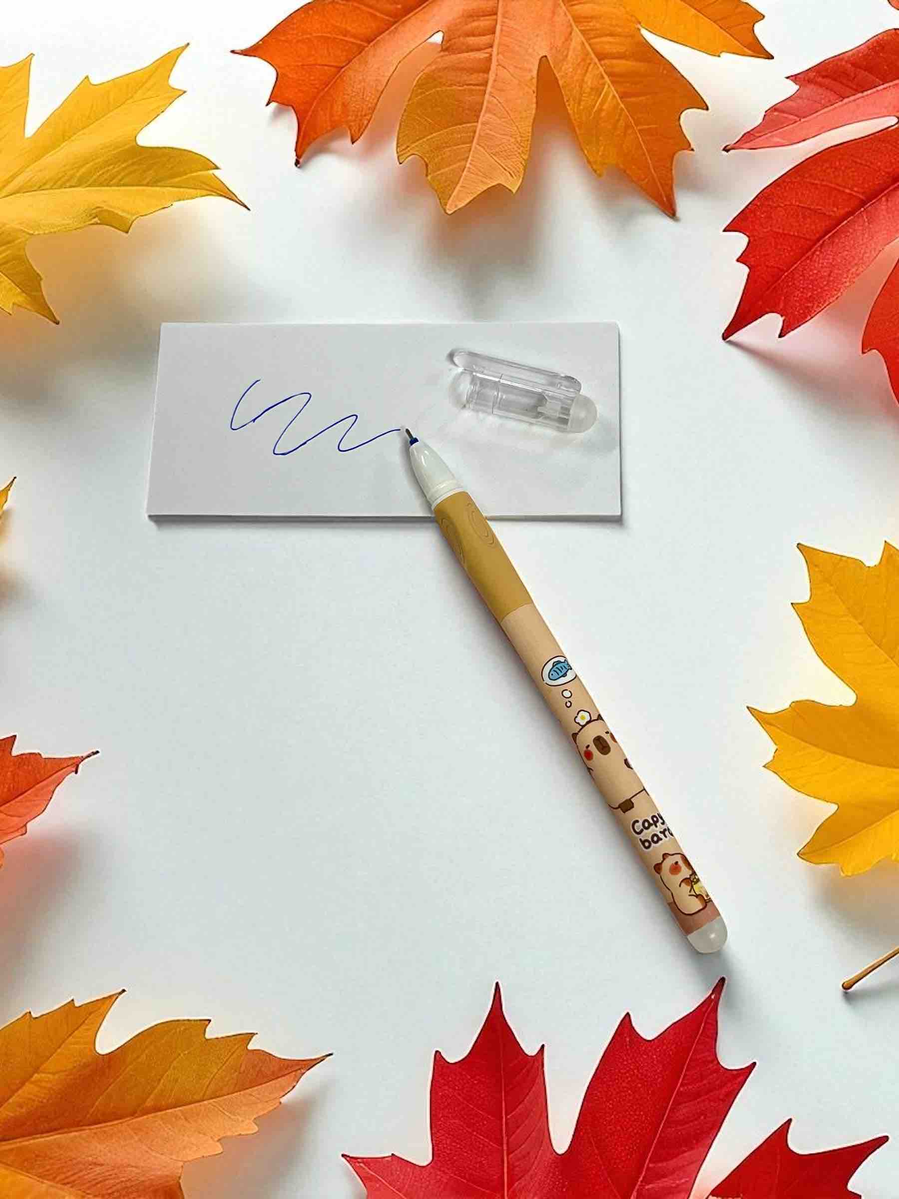 LAPICERO RETRÁCTIL CAPYBARA