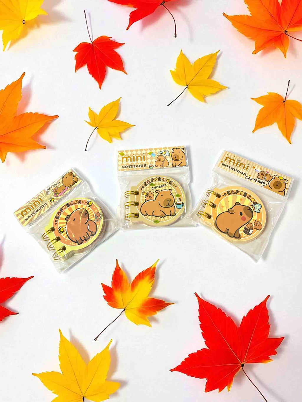 MINI AGENDA CAPYBARA