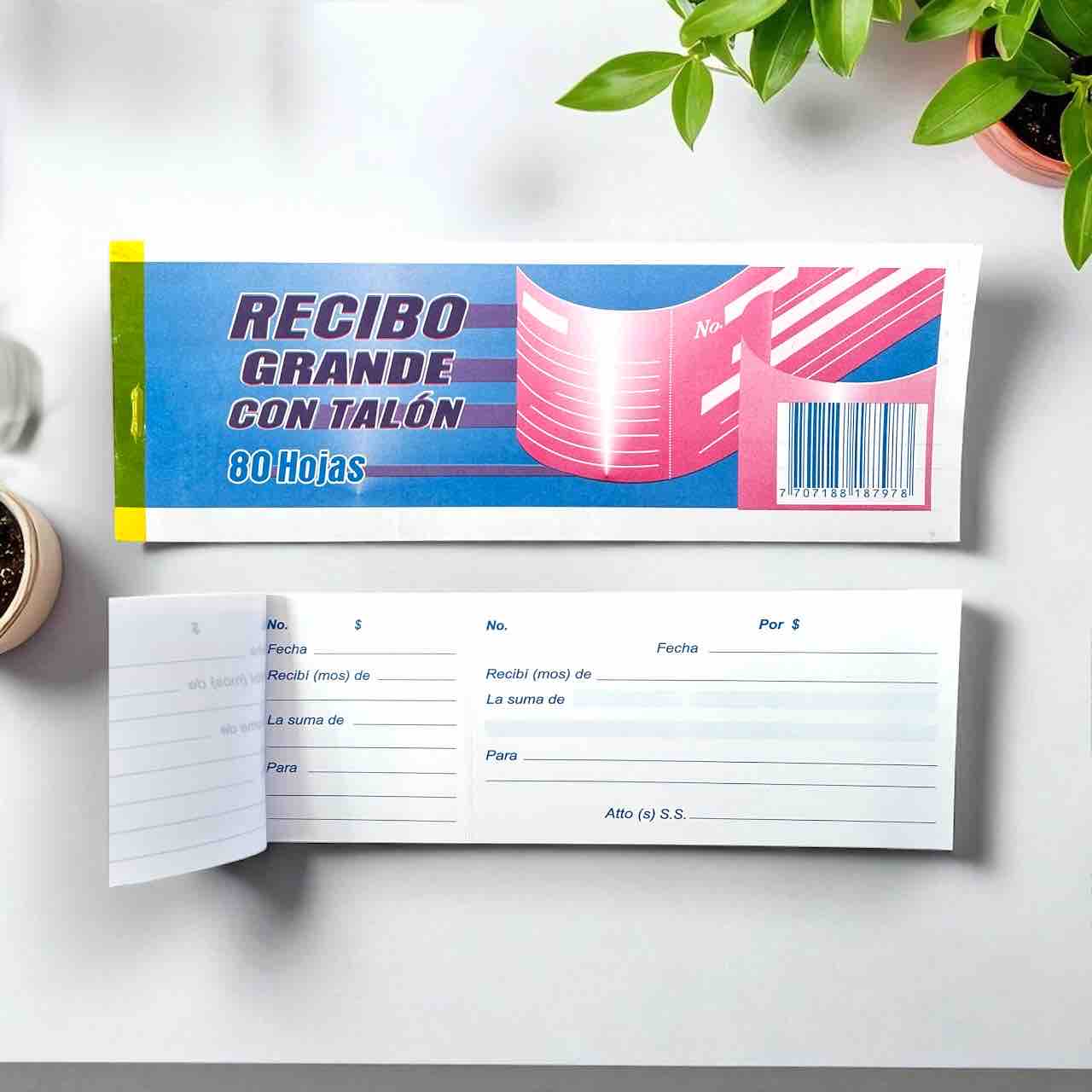 RECIBO GRANDE CON TALÓN