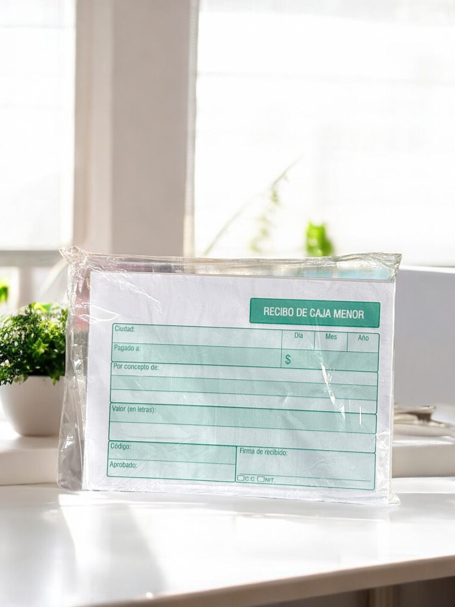 RECIBO DE CAJA MENOR PAQUETE