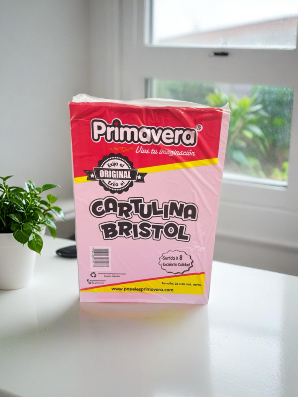 CARTULINA 1/8 SURTIDA