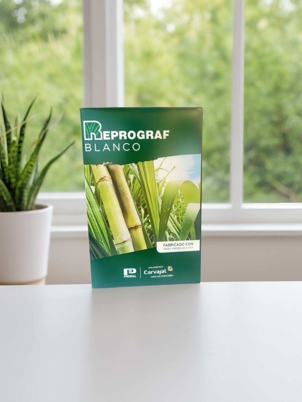 RESMA DE PAPEL OFICIO