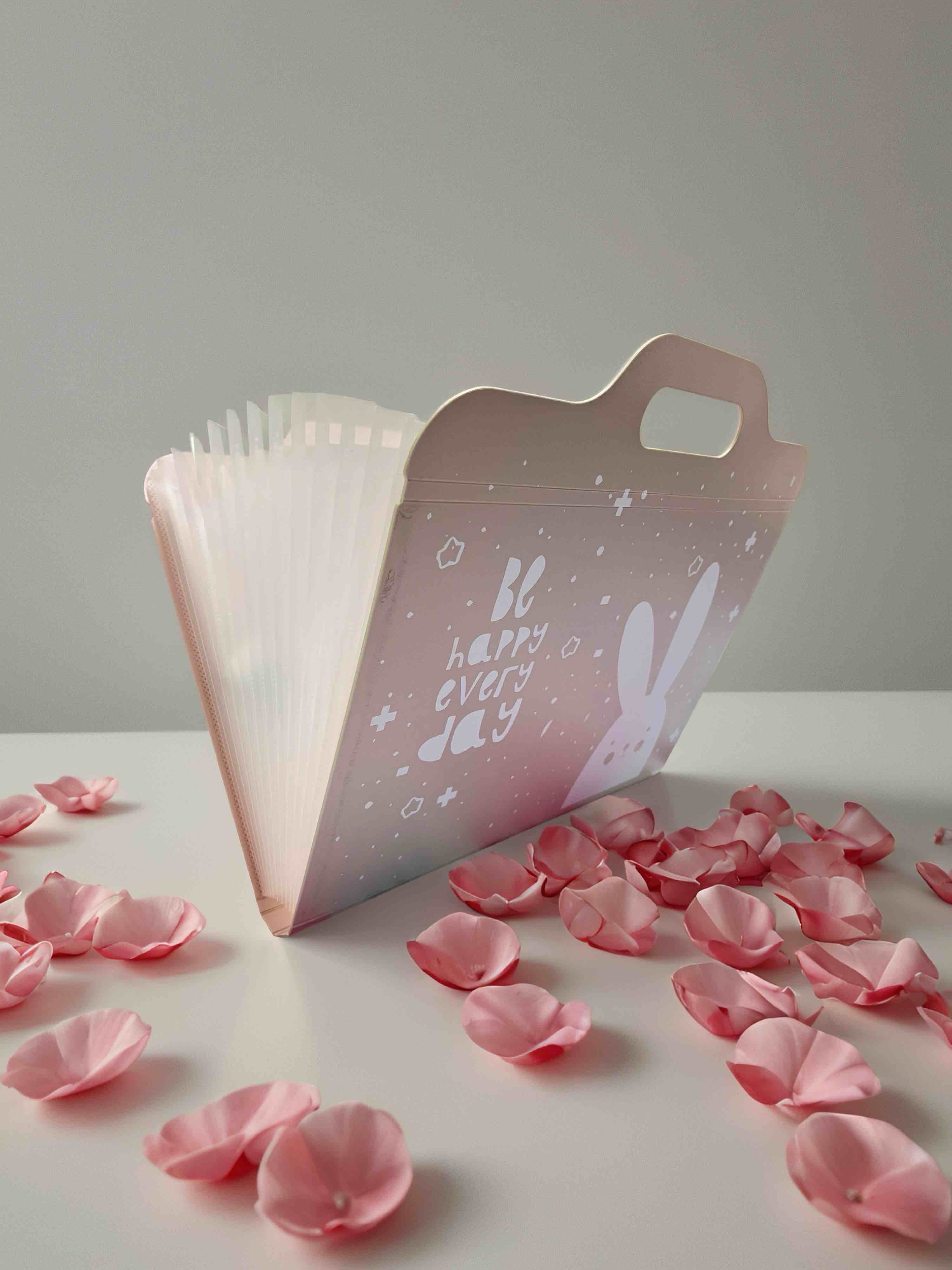 ARCHIVADOR HORIZONTAL PASTEL