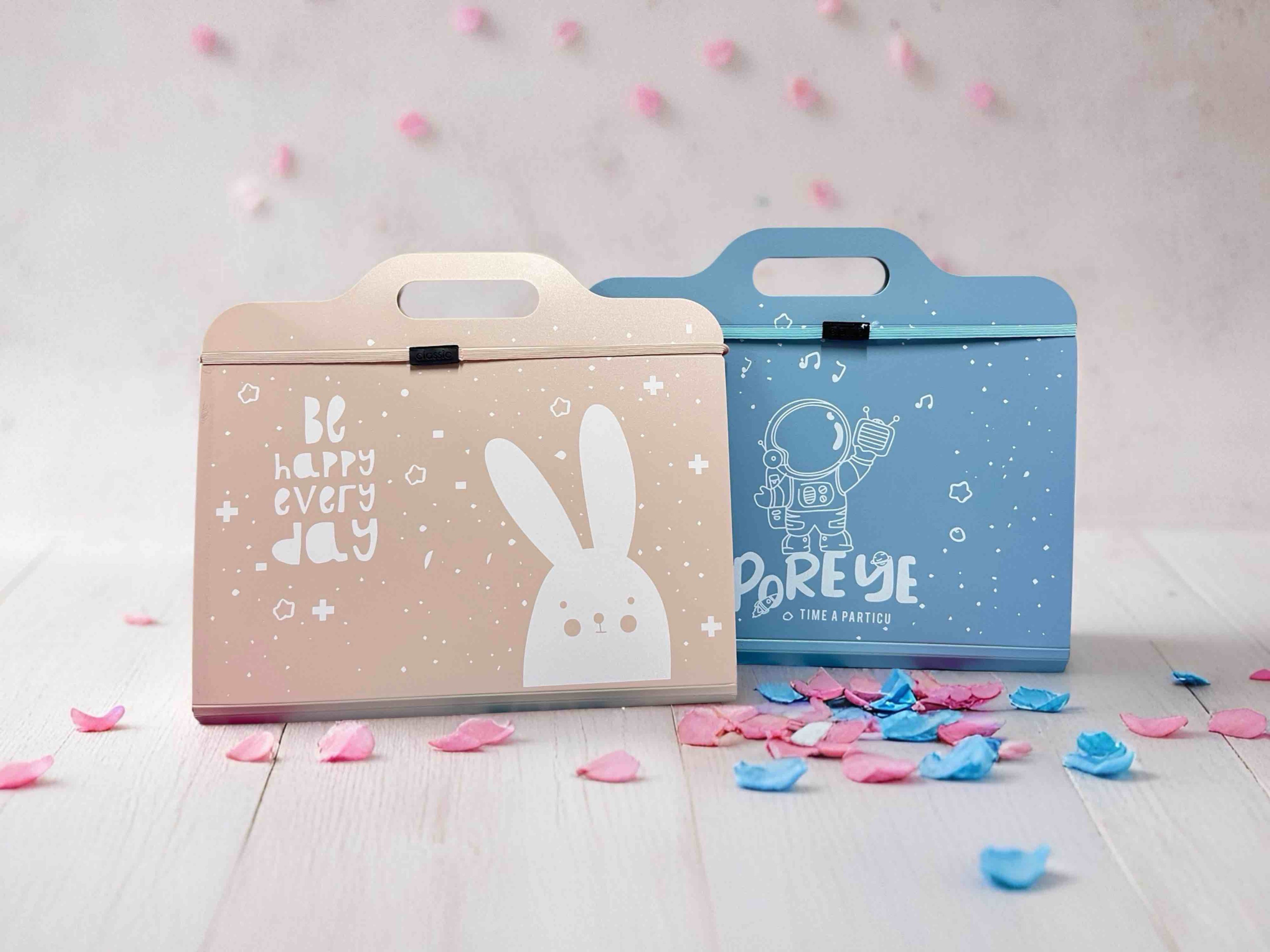 ARCHIVADOR HORIZONTAL PASTEL